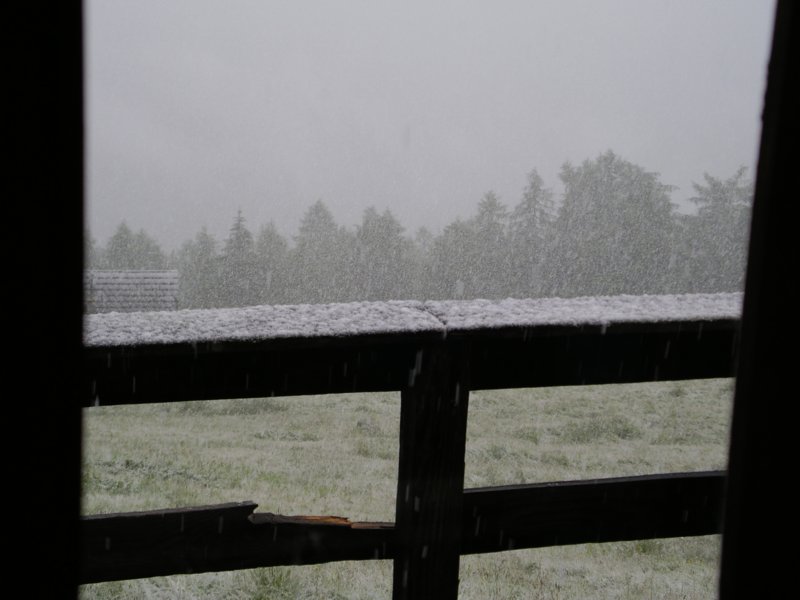 neuschnee.jpg